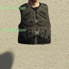 Light Strike Vest
