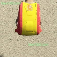 C2
