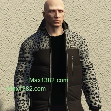 Gray Leopard Bigness Puffer