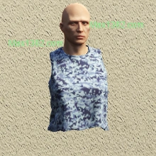 C2