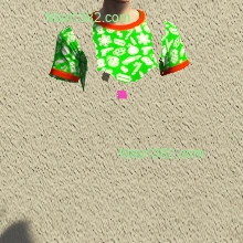 C1 undershirt