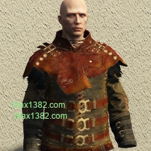 Brown Leather Feather Top