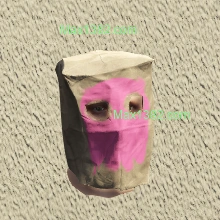 Pink Paper Bag