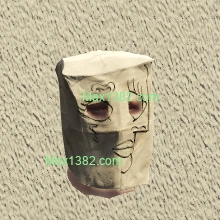 C2